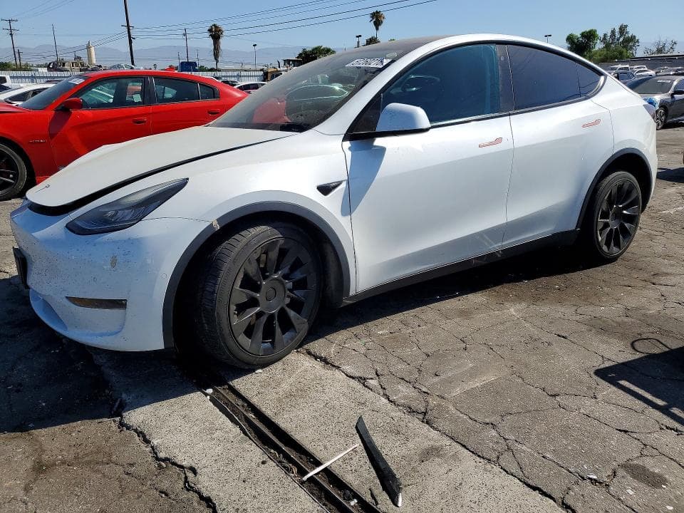 2021 TESLA MODEL Y - 1