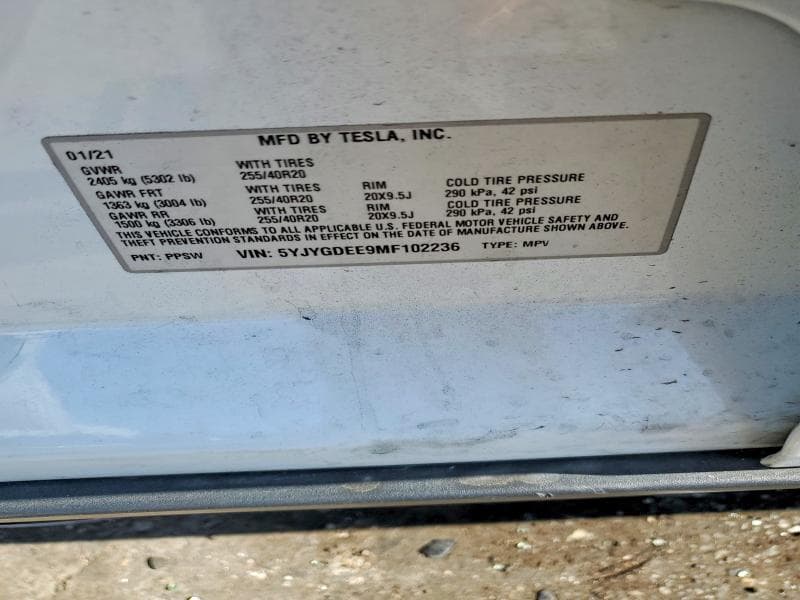 2021 TESLA MODEL Y 13
