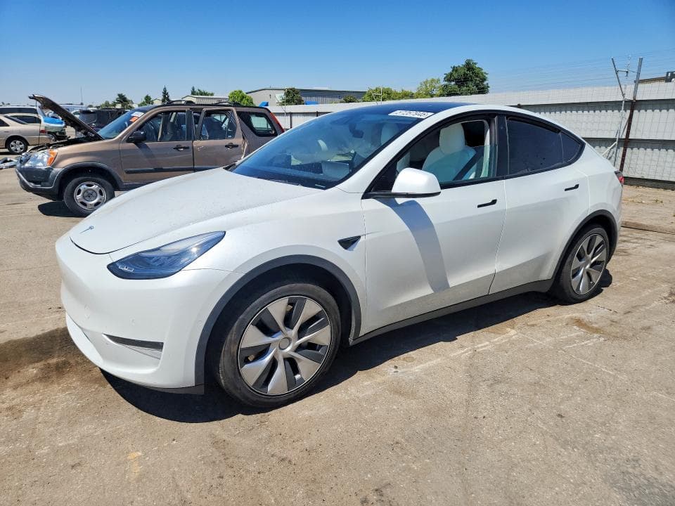 2020 TESLA MODEL Y - 1