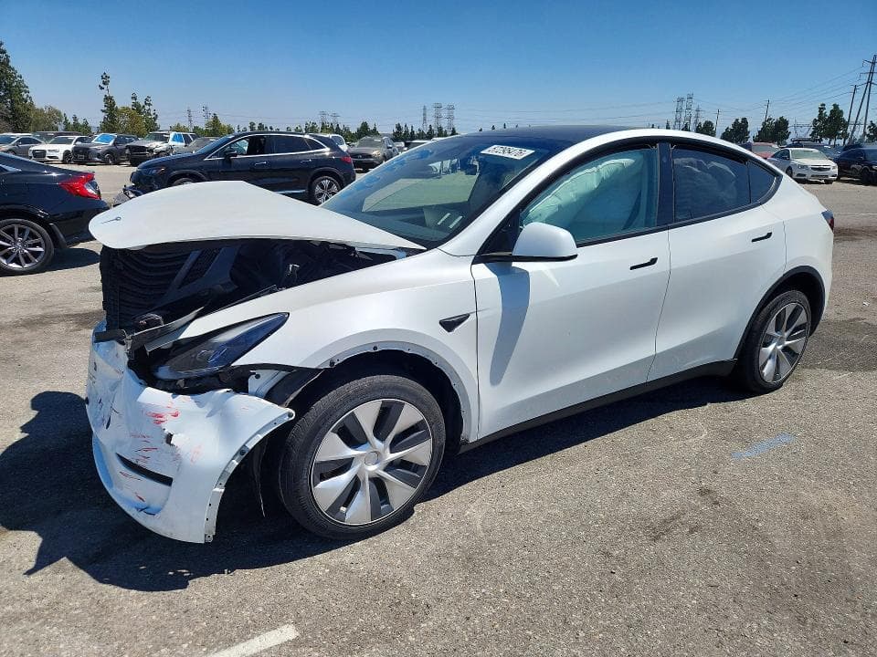 2023 TESLA MODEL Y - 1