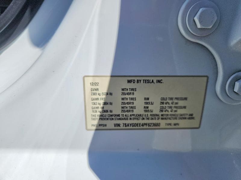 2023 TESLA MODEL Y 12