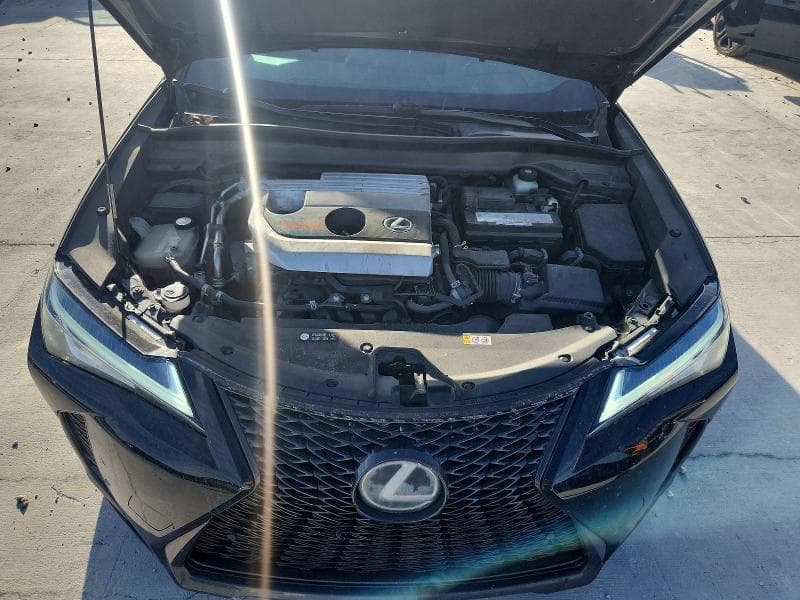 2019 LEXUS UX 200 200 11