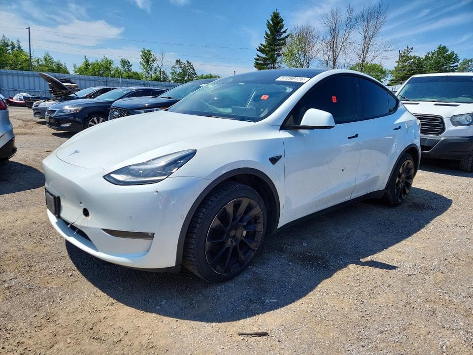 2021 TESLA MODEL Y