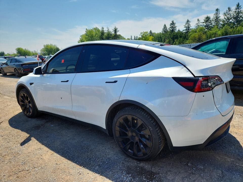 2021 TESLA MODEL Y 2