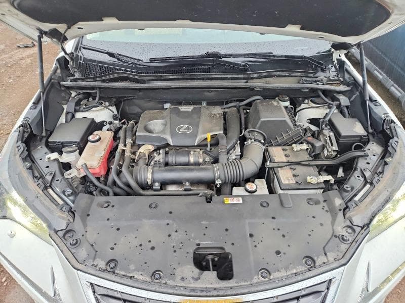 2021 LEXUS NX 300 BASE 11