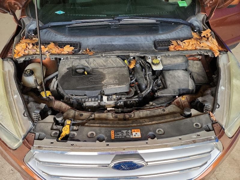2017 FORD ESCAPE SE SE 12