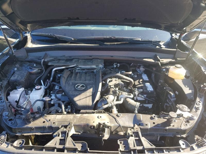 2025 LEXUS TX 350 PREMIUM PREMIUM 12