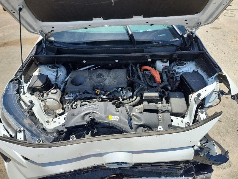 2024 TOYOTA RAV4 SE SE 12