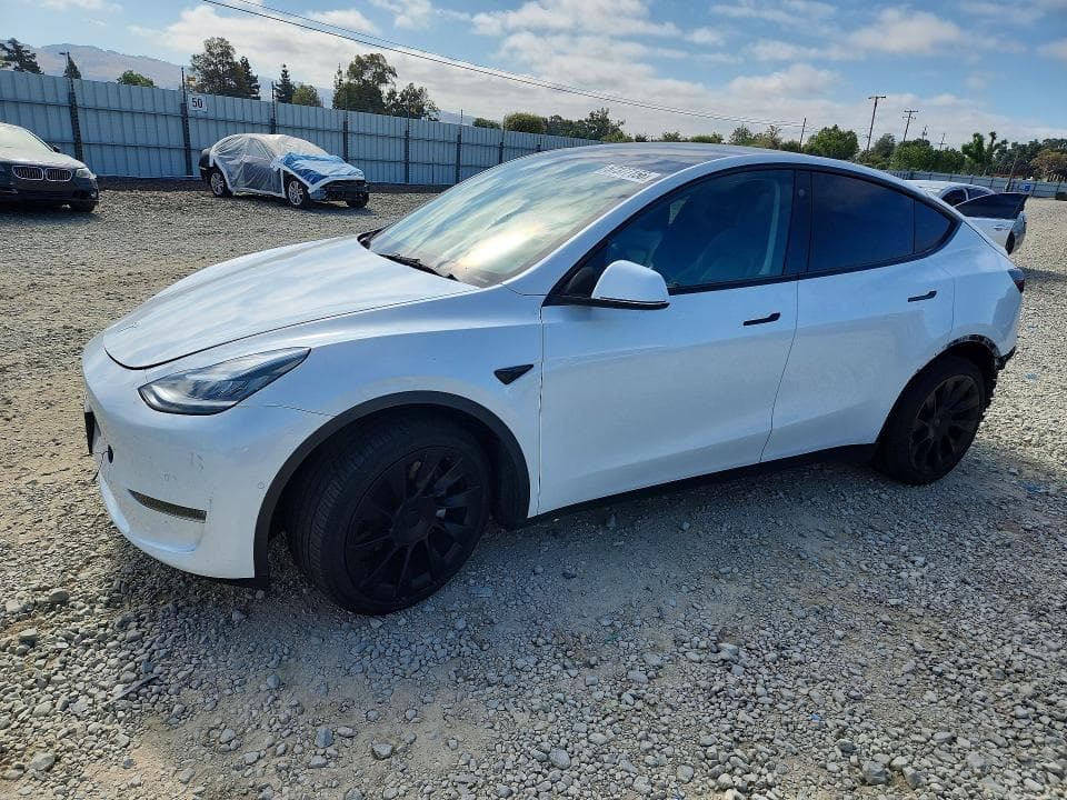 2021 TESLA MODEL Y - 1