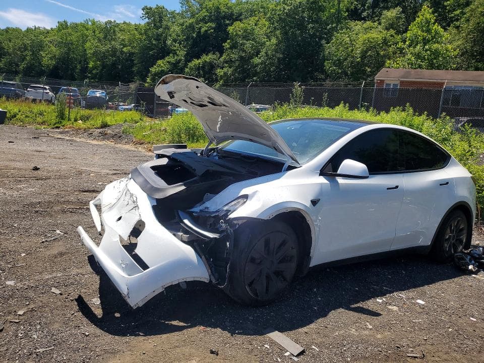 2023 TESLA MODEL Y - 1