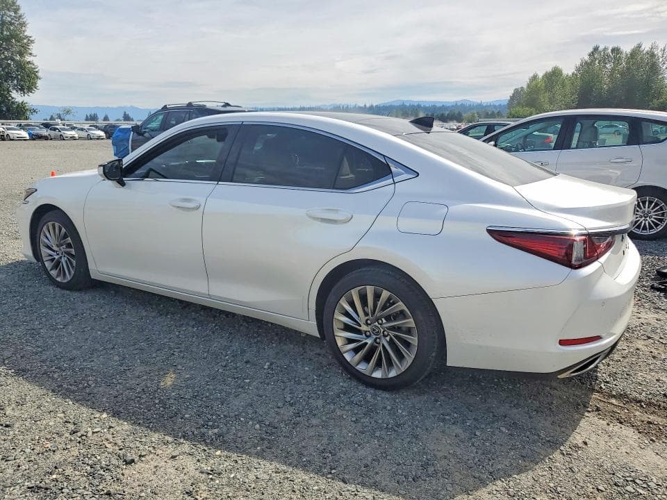 2019 LEXUS ES 350 2