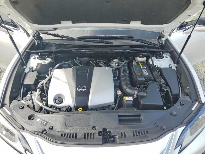 2019 LEXUS ES 350 11