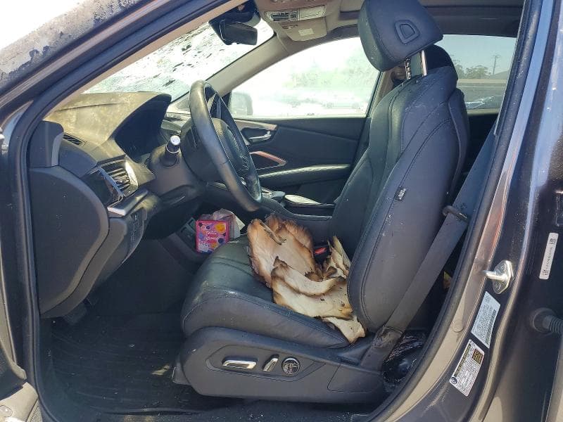 2019 ACURA RDX 7