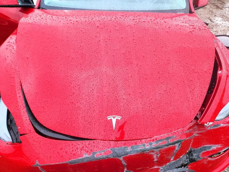 2023 TESLA MODEL Y 11
