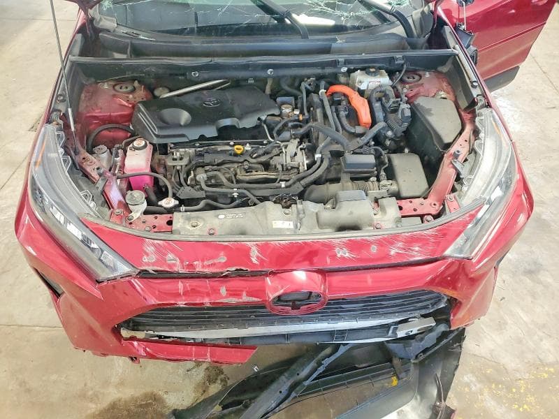 2019 TOYOTA RAV4 LE 12