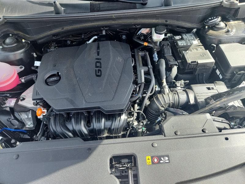 2026 KIA SPORTAGE EX 12