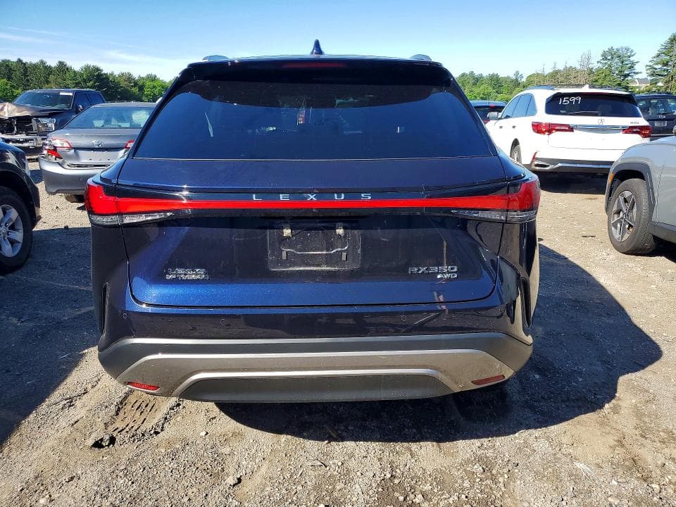 2024 LEXUS RX 350 LUXURY 6