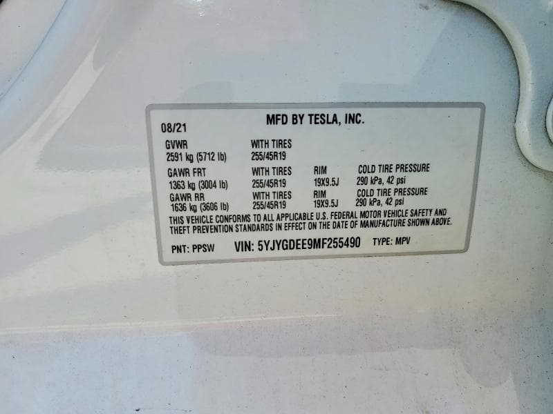 2021 TESLA MODEL Y 12