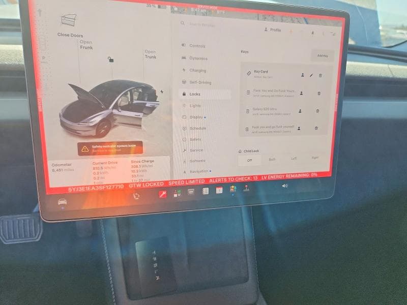 2025 TESLA MODEL 3 9