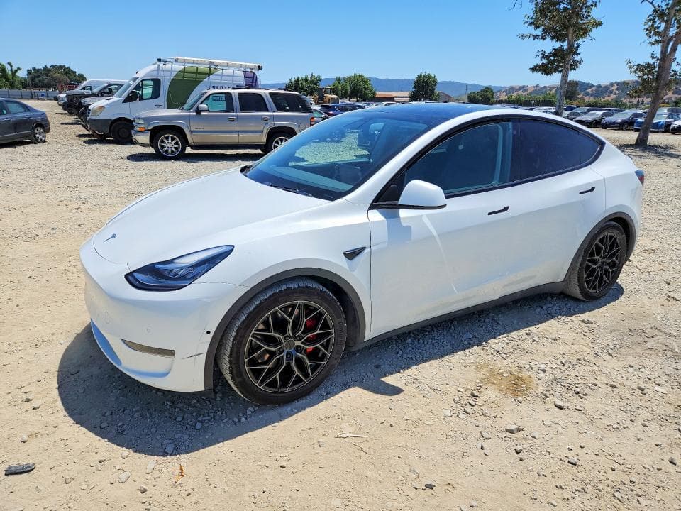 2020 TESLA MODEL Y - 1