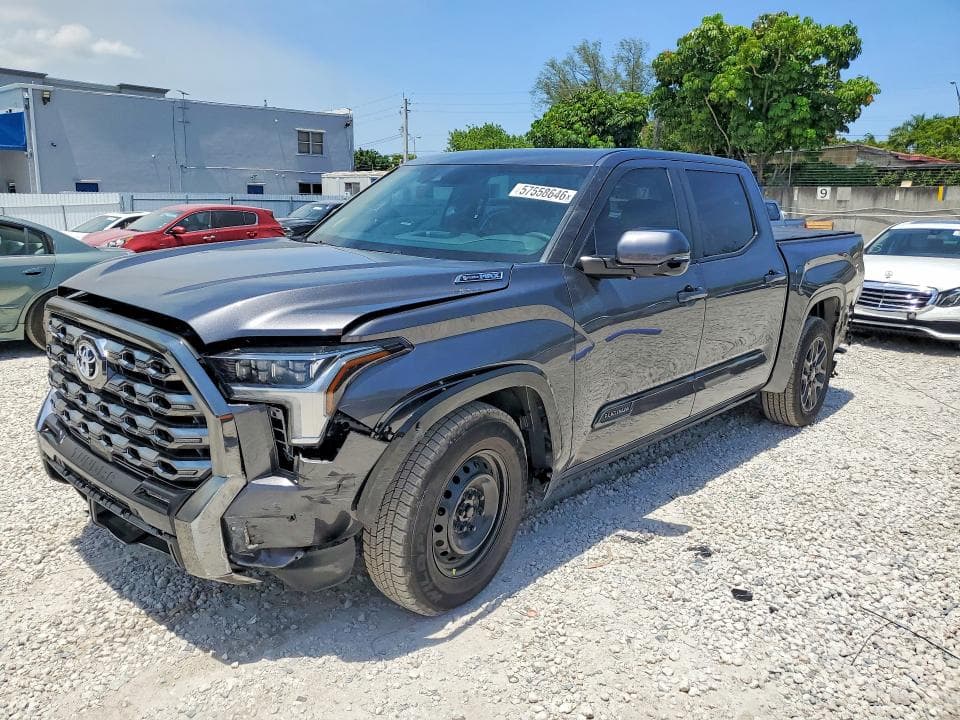 2025 TOYOTA TUNDRA PLATINUM HV - 1