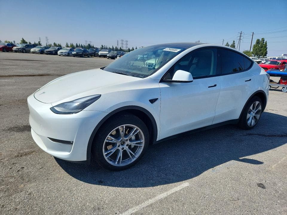 2023 TESLA MODEL Y - 1
