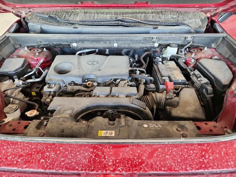 2021 TOYOTA RAV4 LE LE 12