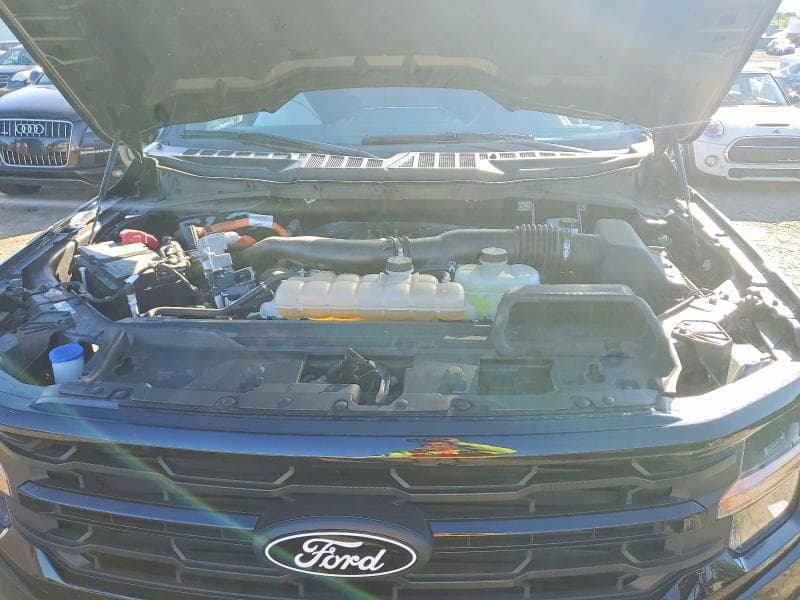 2025 FORD F150 XLT 11