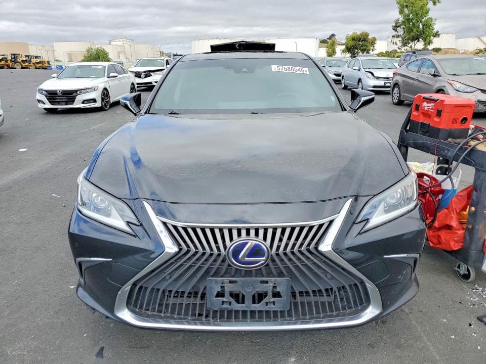 2019 LEXUS ES 300H 5