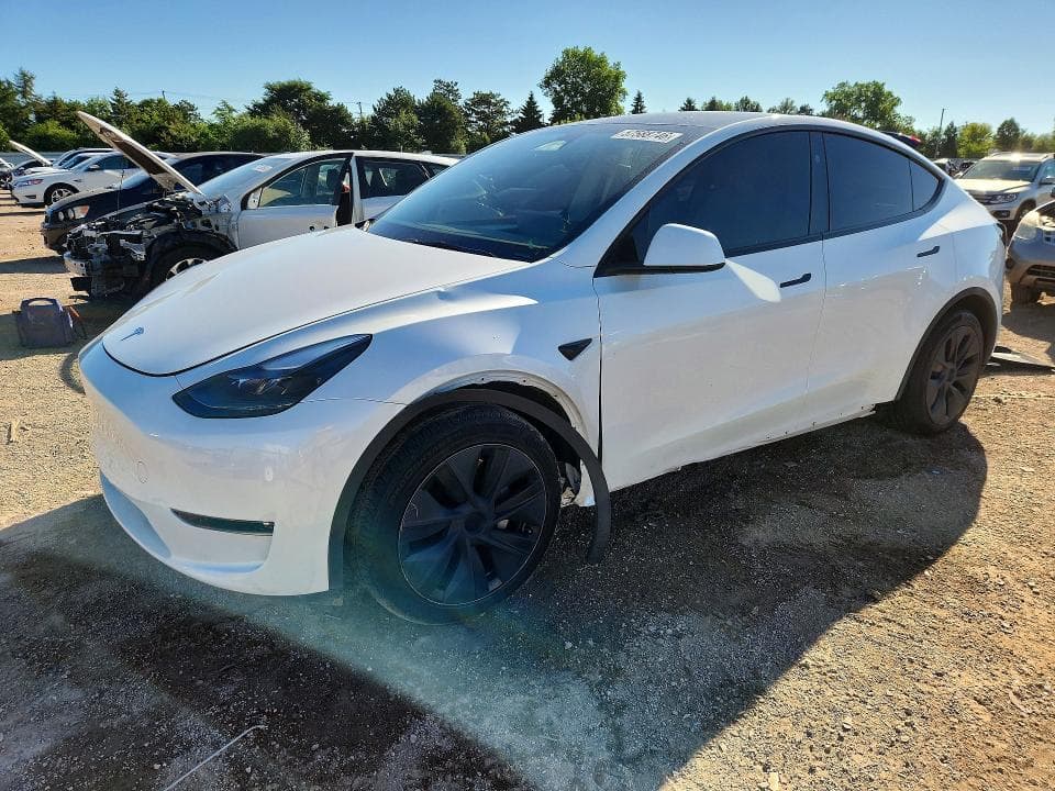 2024 TESLA MODEL Y 1