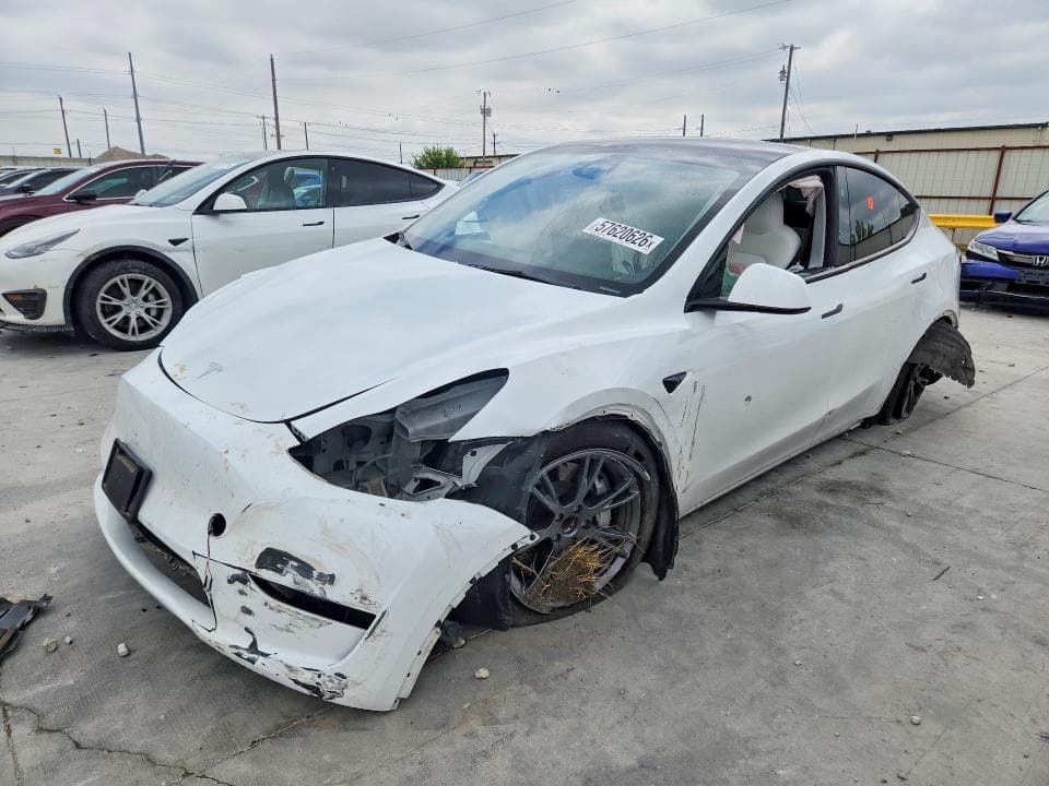 2024 TESLA MODEL Y - 1