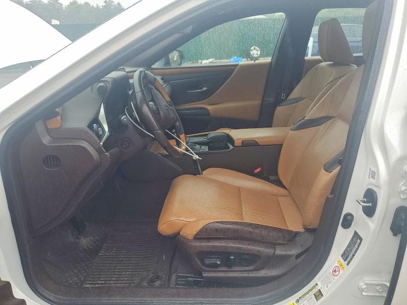 2019 LEXUS ES 350 7