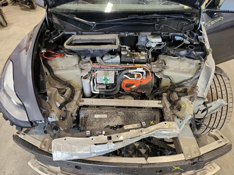 2020 TESLA MODEL Y 11