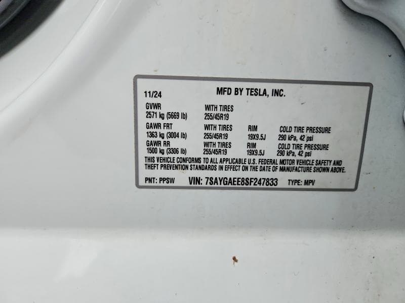 2025 TESLA MODEL Y 12