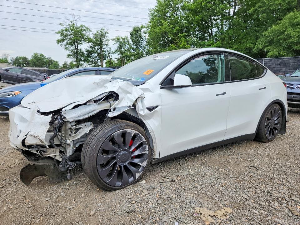 2023 TESLA MODEL Y 1