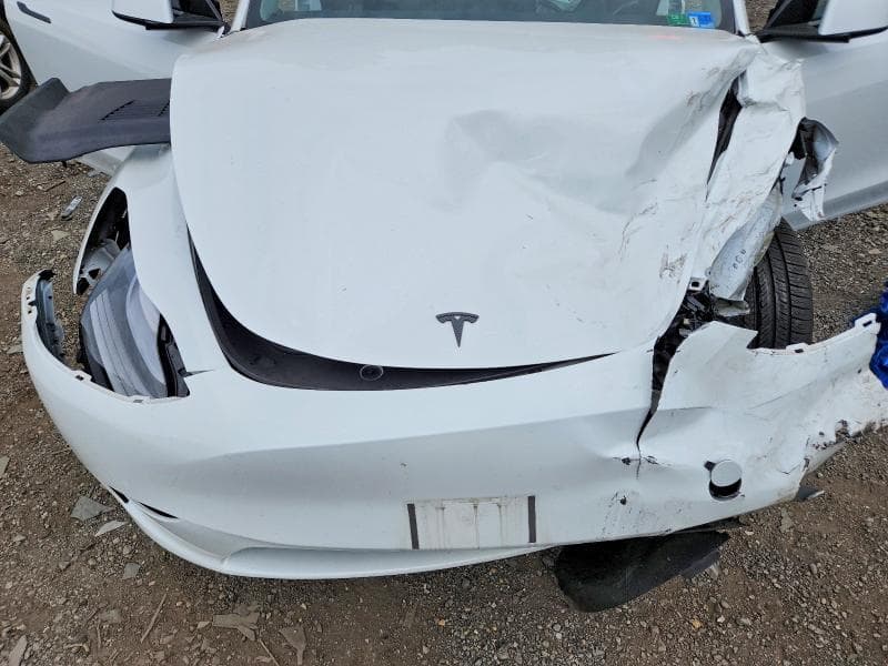 2023 TESLA MODEL Y 11