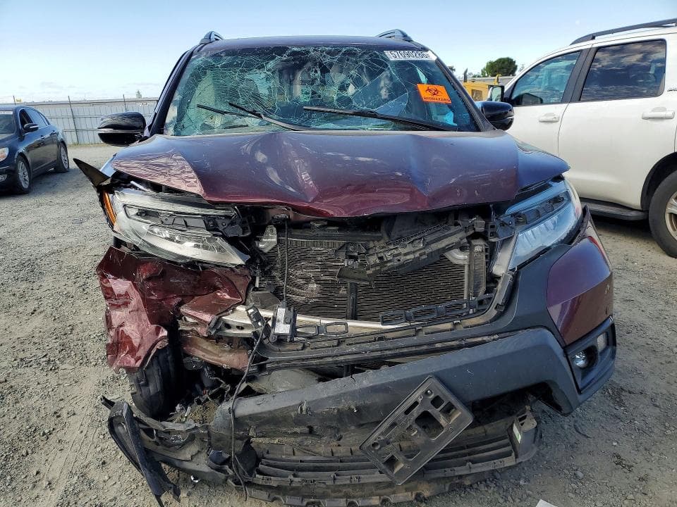 2019 HONDA PASSPORT ELITE 5