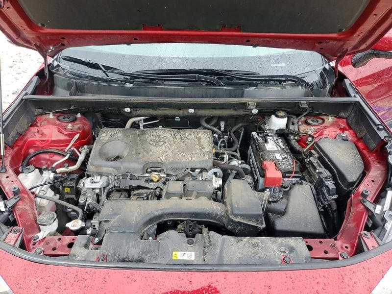 2024 TOYOTA RAV4 XLE XLE 12