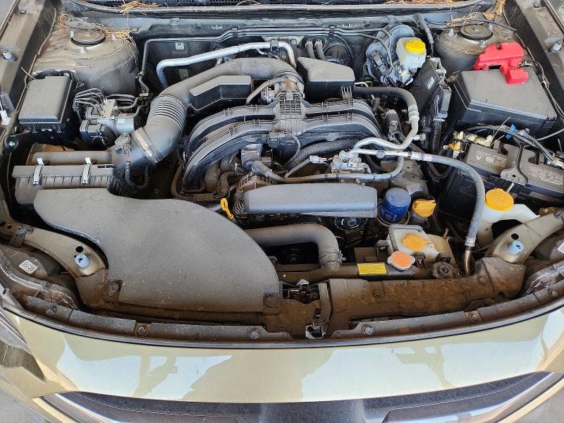 2025 SUBARU OUTBACK 12
