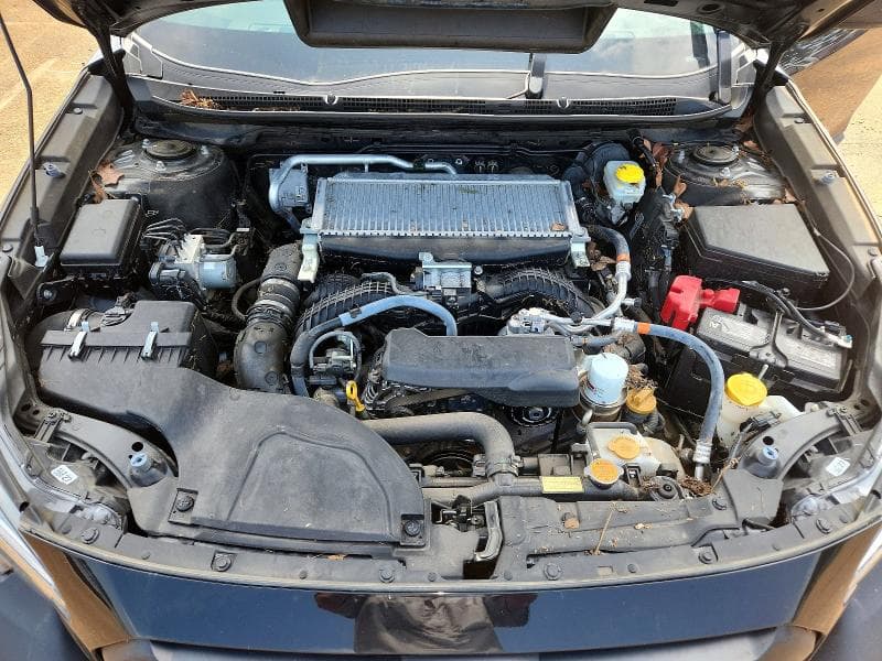 2025 SUBARU OUTBACK WILDERNESS 11