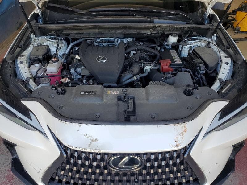 2024 LEXUS NX 350 PREMIUM 350 PREMIUM 12