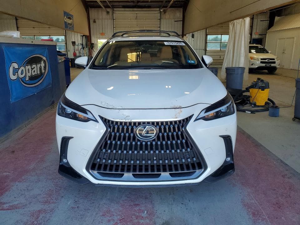 2024 LEXUS NX 350 PREMIUM 350 PREMIUM 5