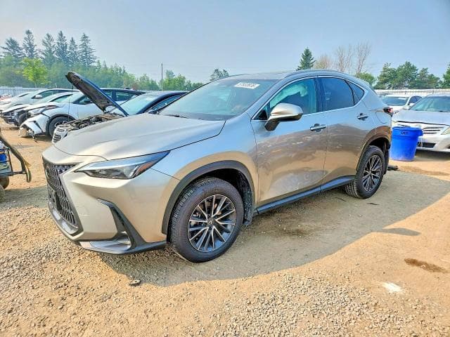 2024 LEXUS NX 350H PREMIUM