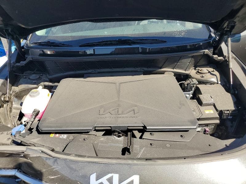 2025 KIA NIRO WIND 12