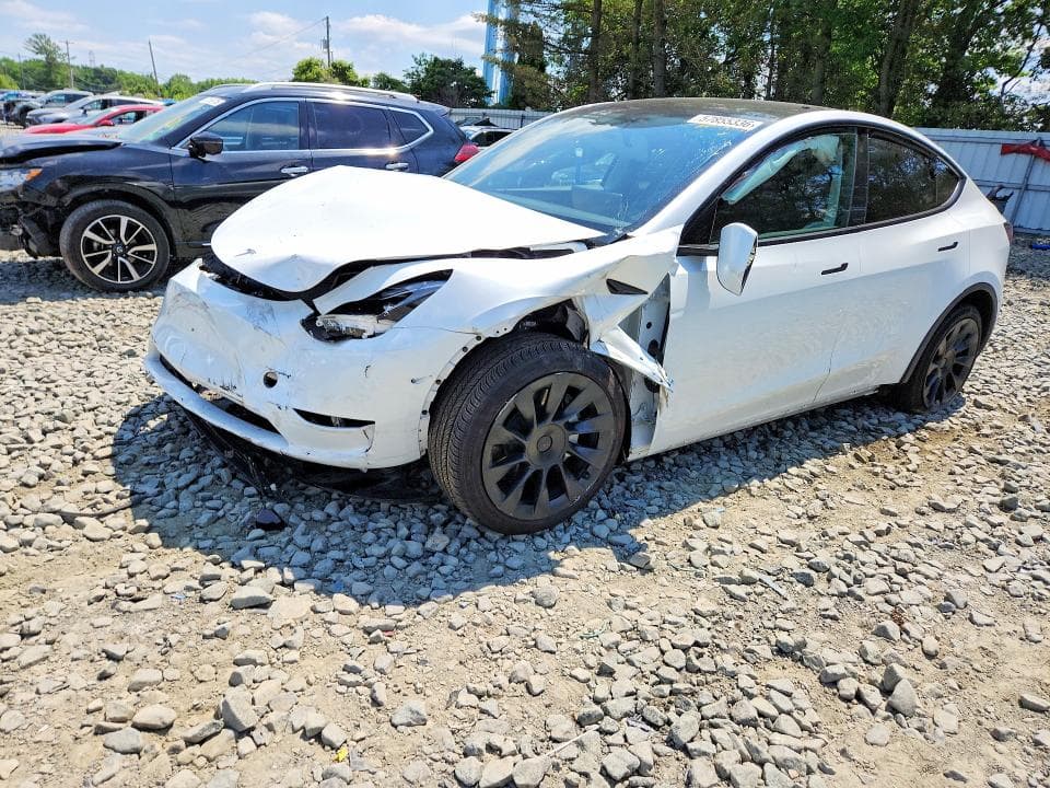 2023 TESLA MODEL Y 1