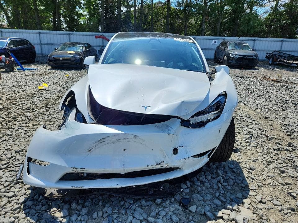 2023 TESLA MODEL Y 5