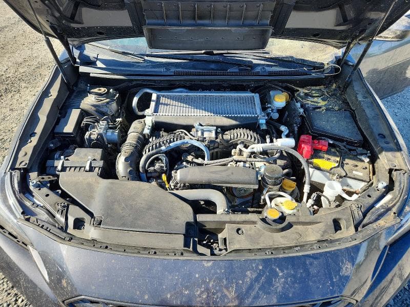 2024 SUBARU WRX 12
