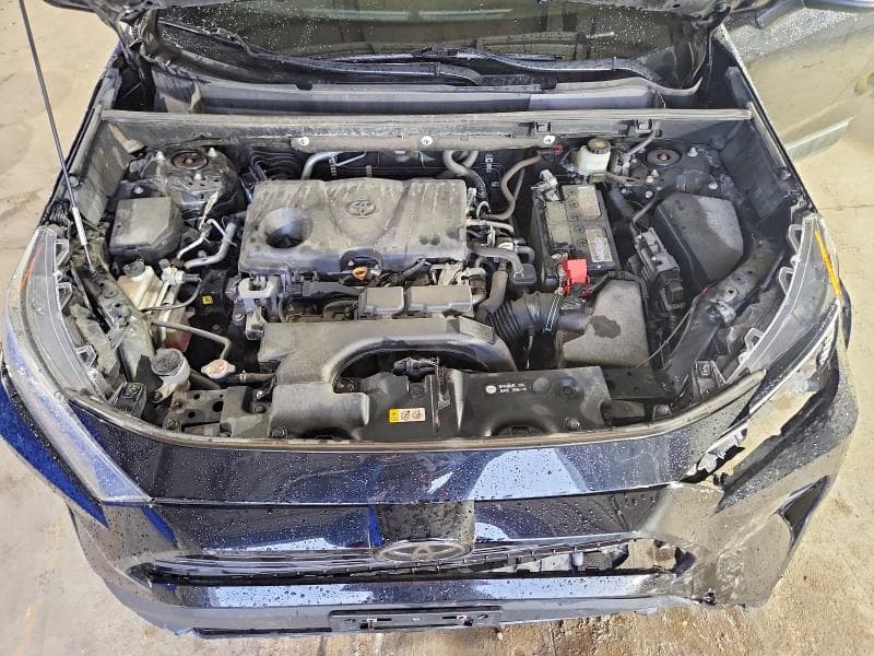 2021 TOYOTA RAV4 XLE XLE 12