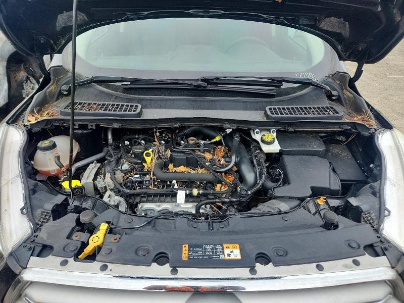 2019 FORD ESCAPE SE 12
