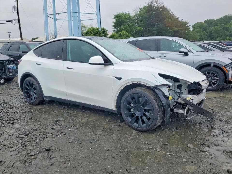 2023 TESLA MODEL Y 4